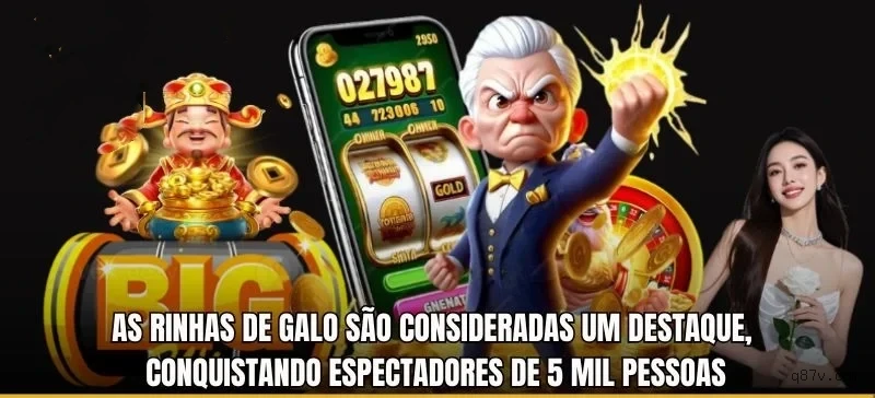 Q87 Sem Taxa